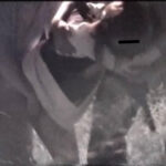 【隠し撮り】JKを着衣のまま無言で激ピス&中出しレイプの盗撮動画